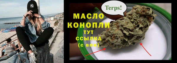 ПСИЛОЦИБИНОВЫЕ ГРИБЫ Новозыбков