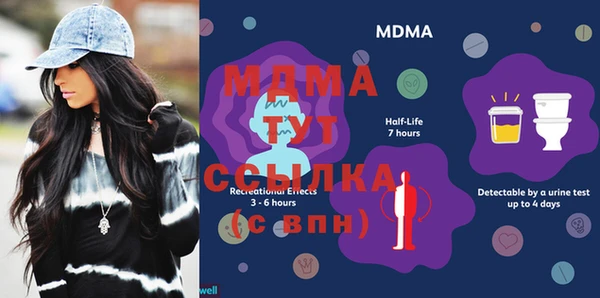 ПСИЛОЦИБИНОВЫЕ ГРИБЫ Новозыбков