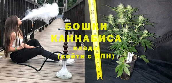ECSTASY Новодвинск