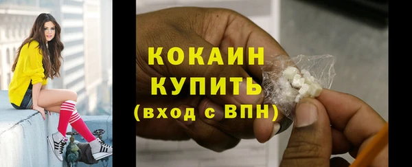 ECSTASY Новодвинск