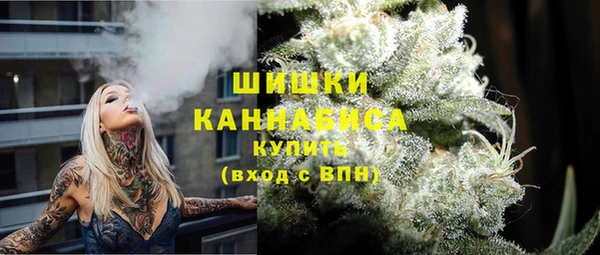 ПСИЛОЦИБИНОВЫЕ ГРИБЫ Новозыбков
