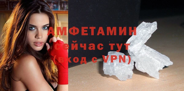ПСИЛОЦИБИНОВЫЕ ГРИБЫ Новозыбков