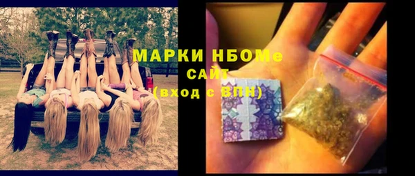 ПСИЛОЦИБИНОВЫЕ ГРИБЫ Новозыбков