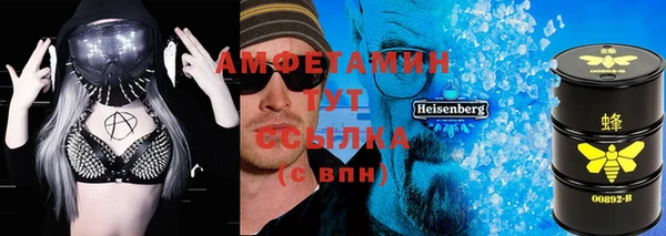ПСИЛОЦИБИНОВЫЕ ГРИБЫ Новозыбков