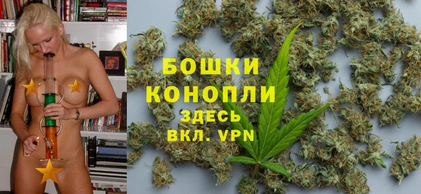 ПСИЛОЦИБИНОВЫЕ ГРИБЫ Новозыбков