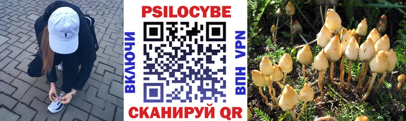 omg как зайти Южноуральск Галлюциногенные грибы мухоморы
