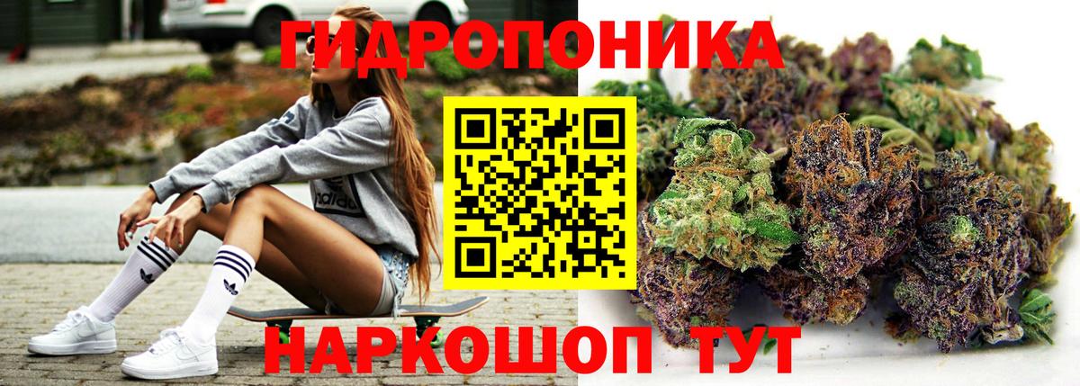 Шишки марихуана план Южноуральск